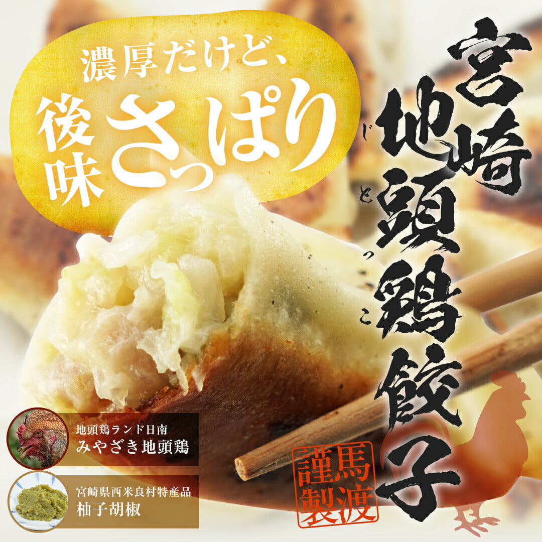 宮崎地頭鶏（じとっこ）餃子10個【お試し】【同梱におすすめ】