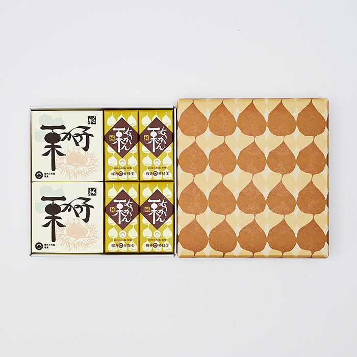 桜井甘精堂ひとくち詰め合せ1号　信州長野小布施町のお土産