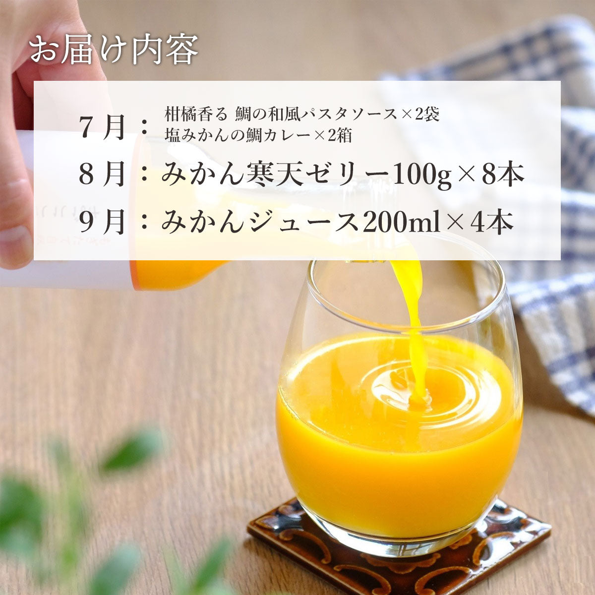 全3回 こだわりの加工品定期便 7月～9月