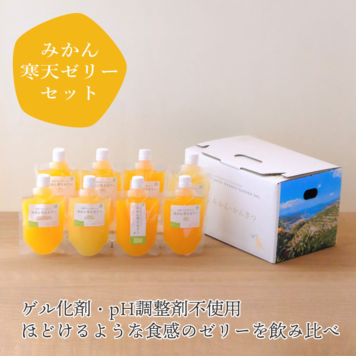 全3回 こだわりの加工品定期便 7月～9月