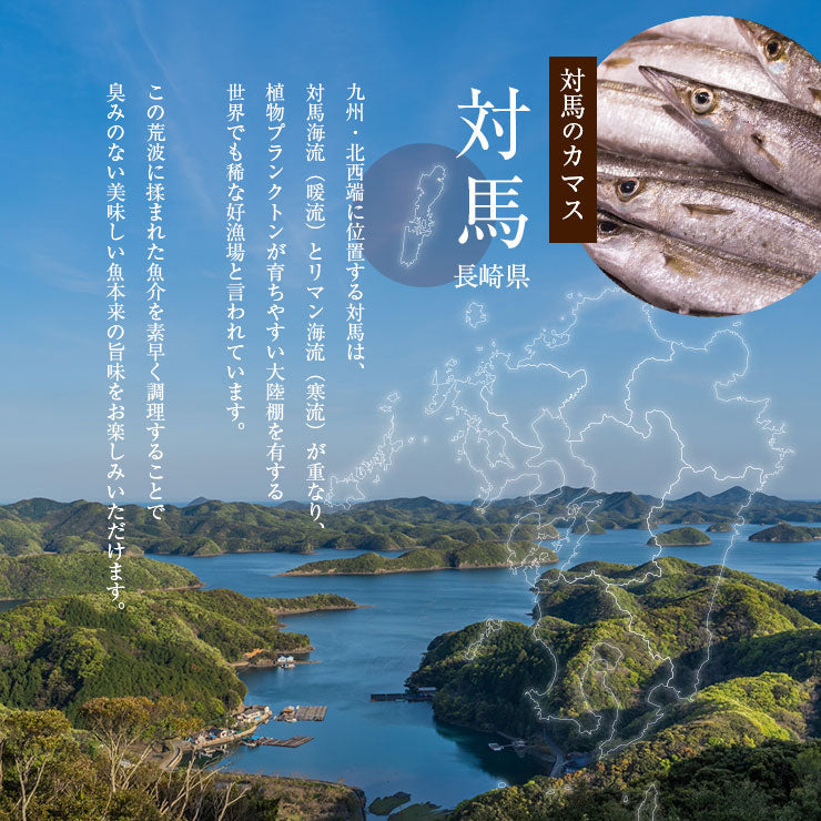 骨まで食べられる 焼き魚 かます 干物 約50g×2枚 開き カマス ひもの 干物セット 塩焼き 焼魚 グリル おつまみ 国産 長崎県産 対馬 長期常温保存 メール便 食品ロス フードロス ポイント消化 お取り寄せグルメ 送料無料 真空パック レトルト 電子レンジ コロナ 応援 非常食