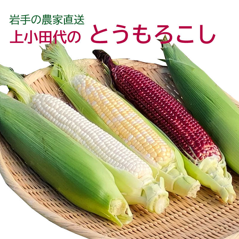 岩手の農家直送　真っ赤なとうもろこし　大和ルージュ　6本・8本【冷蔵・送料込】