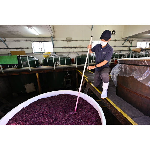 【2023SAKURA　AWARD　シルバー受賞】GS月山山麓　赤　0.72L（赤　辛口）【酒・ジュース・飲料】