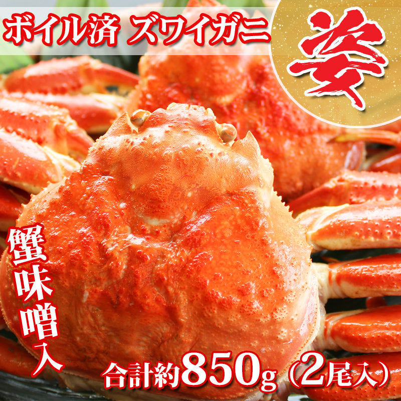 【送料無料】ボイル済み 冷凍 ズワイ蟹2尾入 約850g前後 1尾約430ｇ かに味噌入り かに カニ ギフト 2025 海鮮問屋 見田元七商店