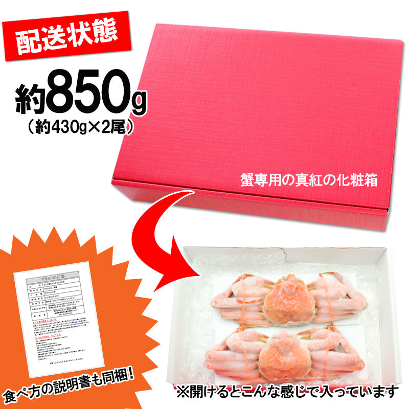【送料無料】ボイル済み 冷凍 ズワイ蟹2尾入 約850g前後 1尾約430ｇ かに味噌入り かに カニ ギフト 2025 海鮮問屋 見田元七商店