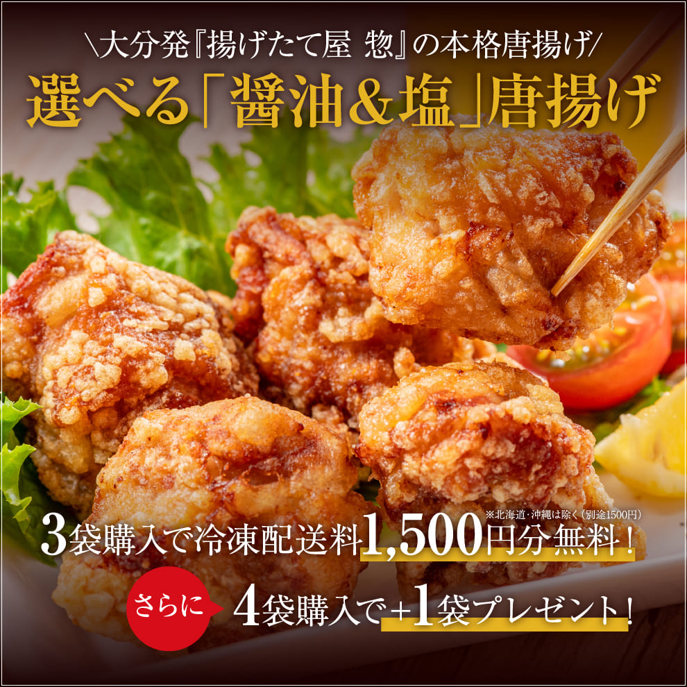 大分発『揚げたて屋 惣』の本格唐揚げ！選べる「醤油＆塩」1袋500g！3袋購入で冷凍配送料無料！4袋購入で＋1袋プレゼント！