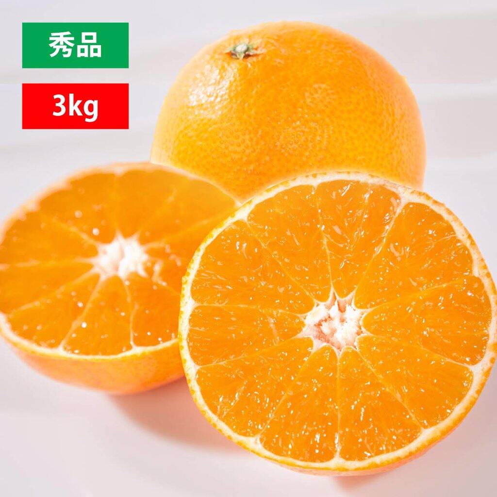 【11月下旬頃から発送予定】まごころまどんな 秀品