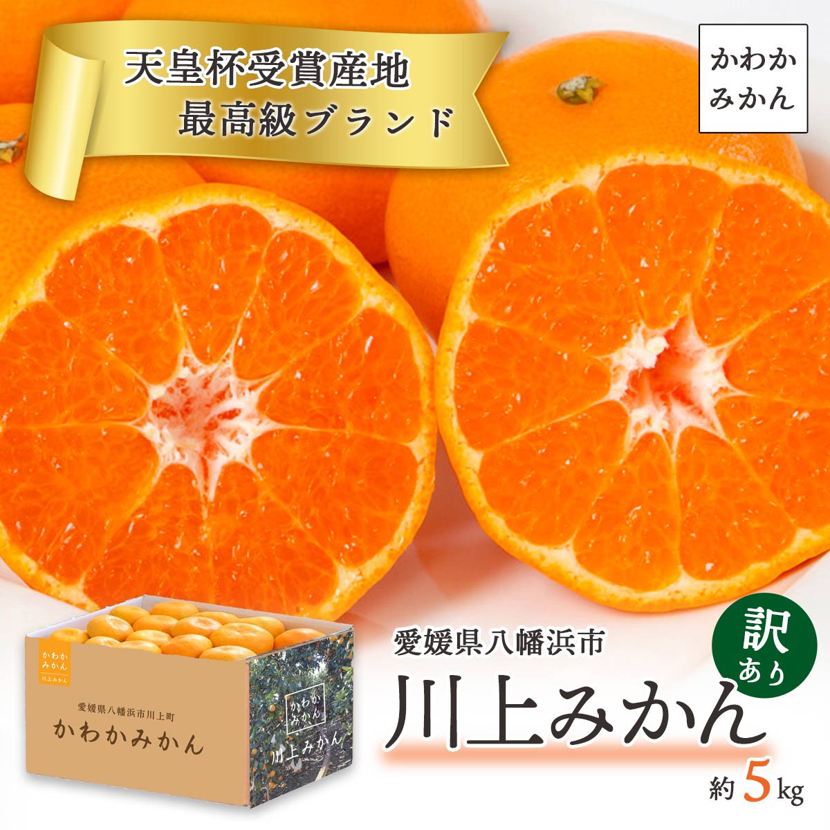天皇杯受賞産地 最高級ブランド 川上みかん 5kg【訳あり】