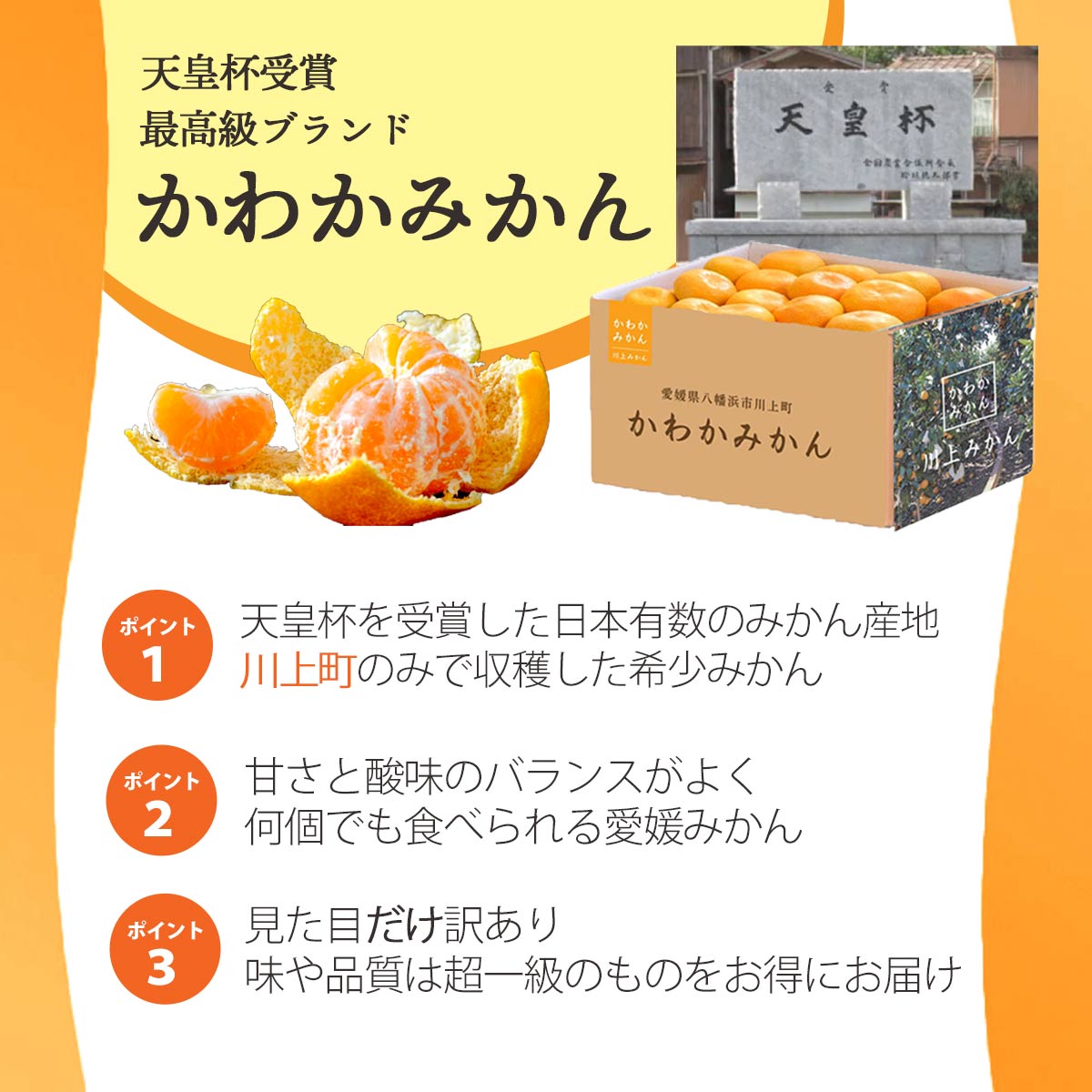 天皇杯受賞産地 最高級ブランド 川上みかん 5kg【訳あり】