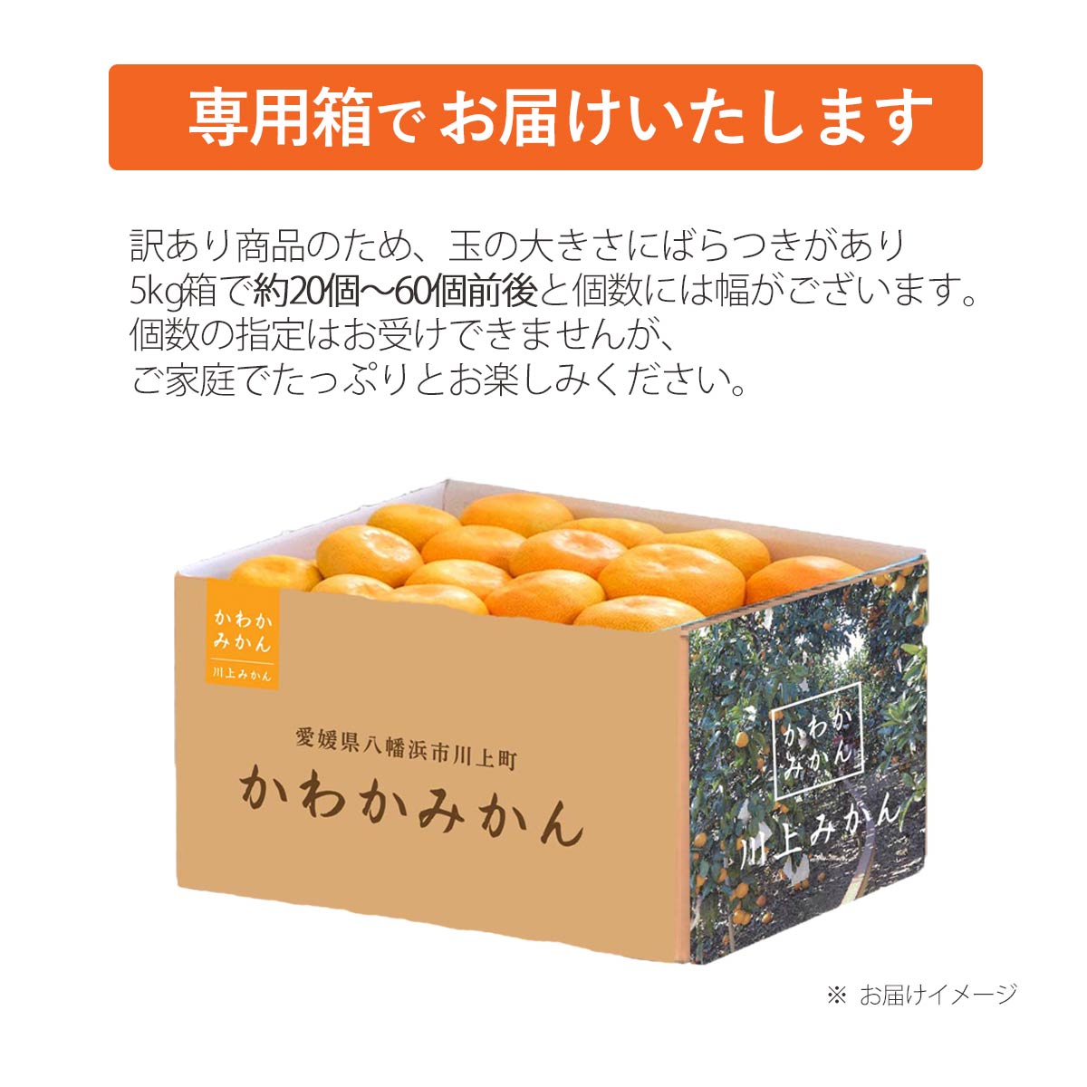 【予約】天皇杯受賞産地 最高級ブランド 川上みかん 5kg【訳あり】