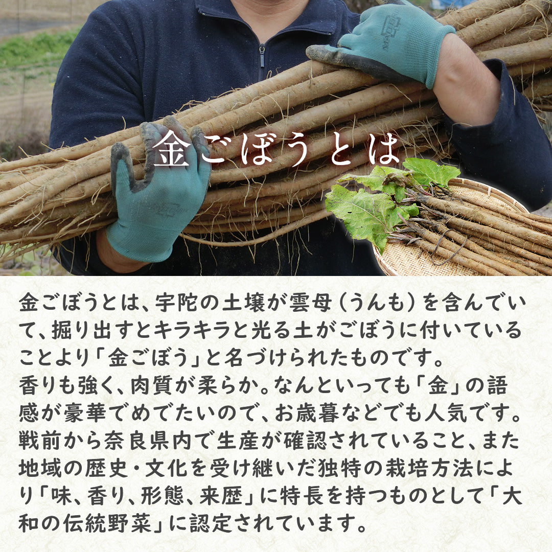 【国産・無添加 Premium】金ごぼう