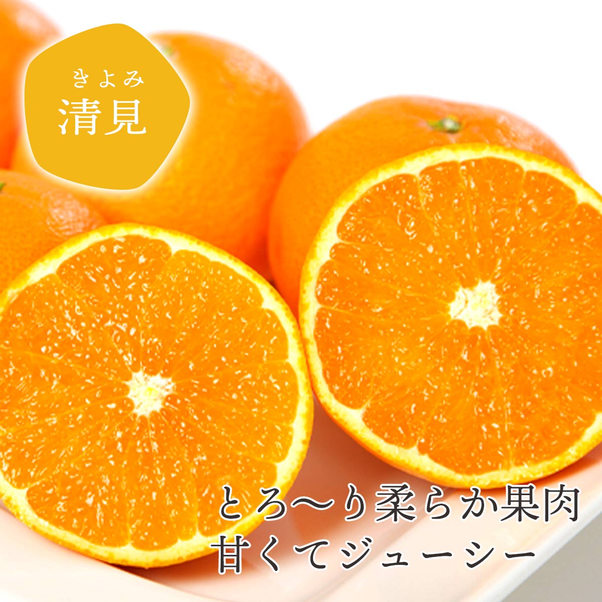愛媛産 清見タンゴール