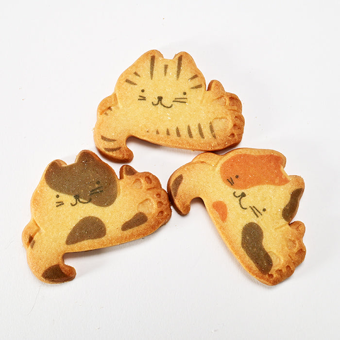 信州にゃんこ三兄弟12個入（信州長野のお土産 お菓子 洋菓子 プリントネコクッキー）A