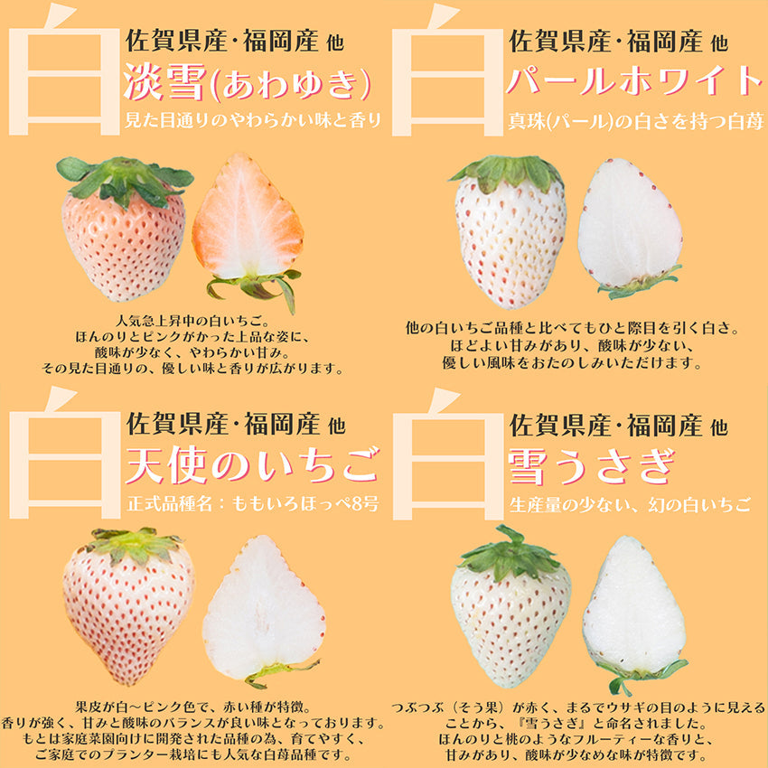 【予約販売】福岡・佐賀産 紅白いちご  (あまおう×白いちご)【フルーツ】
