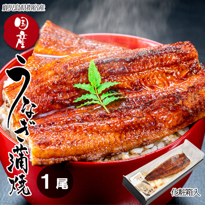 【送料無料】鹿児島県 指宿産 うなぎ蒲焼 真空パック 1枚入 長蒲焼 背開き ギフト 鰻 ウナギ 土用 丑の日