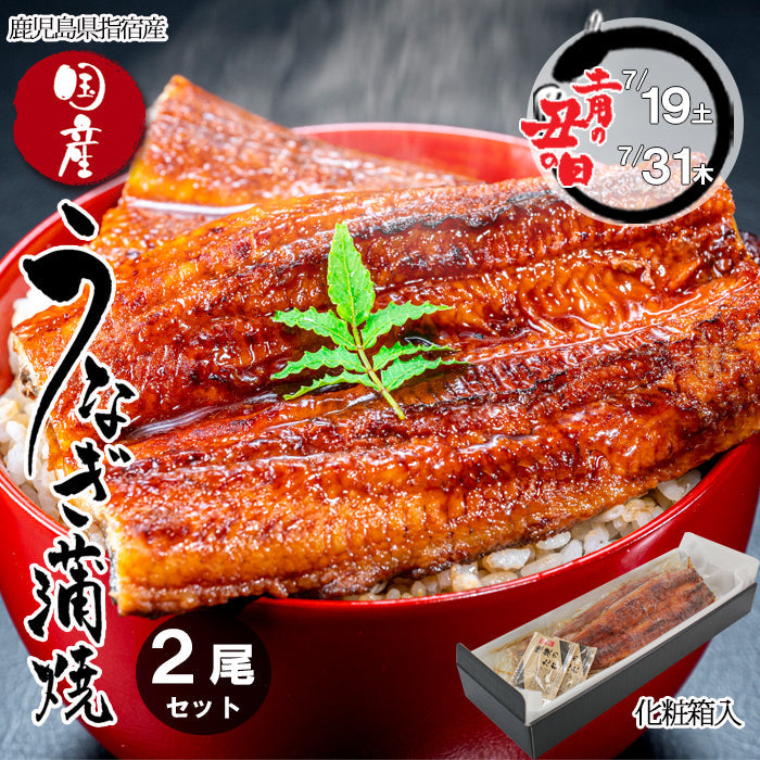 【メルマガ限定タイムセール】【送料無料】鹿児島県 指宿産 うなぎ蒲焼 真空パック 2枚入 長蒲焼 背開き ギフト 鰻 ウナギ 土用 丑の日