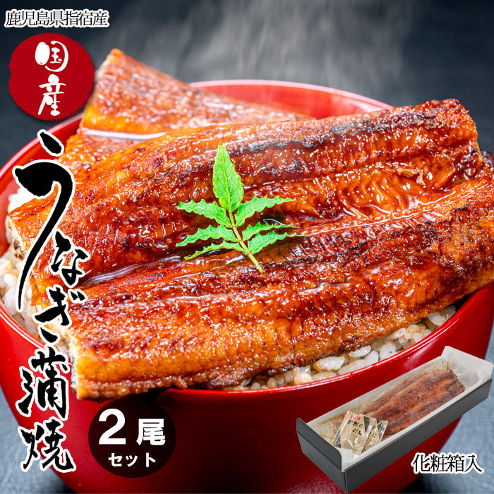 【送料無料】鹿児島県 指宿産 うなぎ蒲焼 真空パック 2枚入 長蒲焼 背開き ギフト 鰻 ウナギ 土用 丑の日