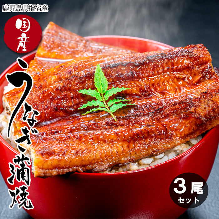 【送料無料】鹿児島県 指宿産 うなぎ蒲焼 真空パック 3枚入 長蒲焼 背開き ギフト 2025 鰻 ウナギ 土用 丑の日