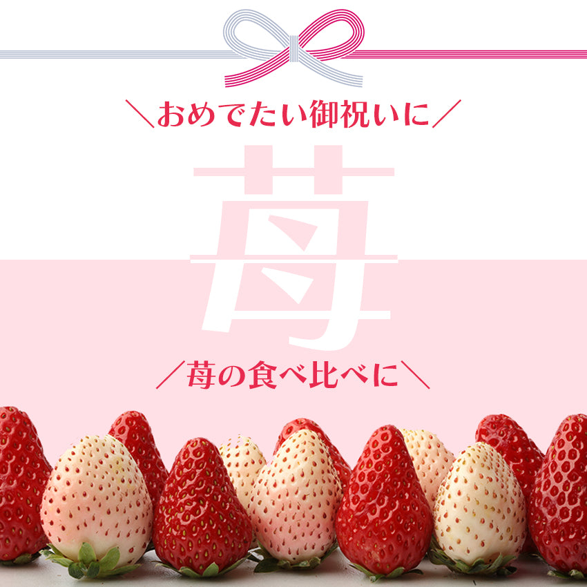 【予約販売】福岡・佐賀産 紅白いちご  (あまおう×白いちご)【フルーツ】