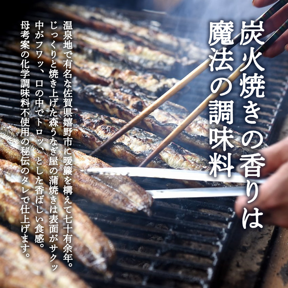 炭火焼一筋 佐賀嬉野で創業70年 うなぎ炭火蒲焼  特大1尾170g (タレ付) 【送料無料】【産地直送】