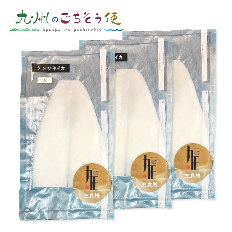 剣先イカ生食（刺身）用（大）3枚【送料無料】【産地直送】