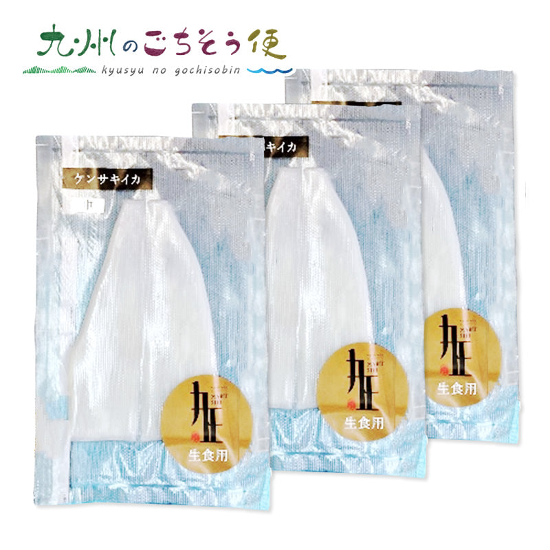 剣先イカ生食（刺身）用（中）3枚【送料無料】【産地直送】