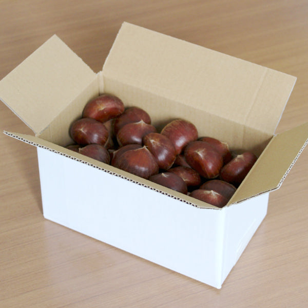 最高級丹波栗３Ｌサイズ