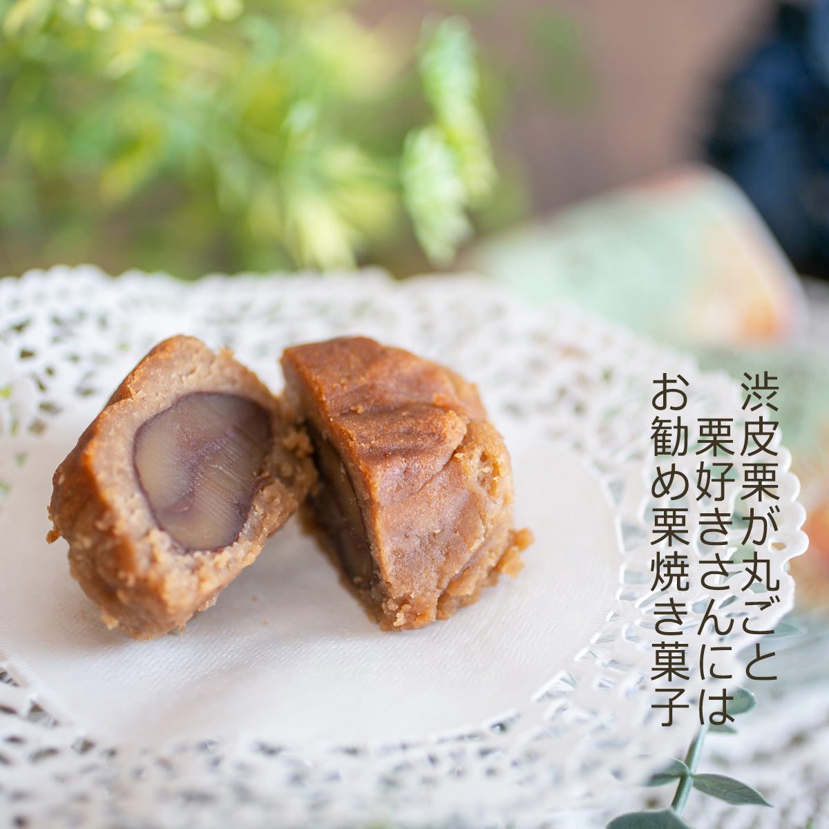栗の森ケーキ 6入 岐阜 良平堂 （グルテンフリー
