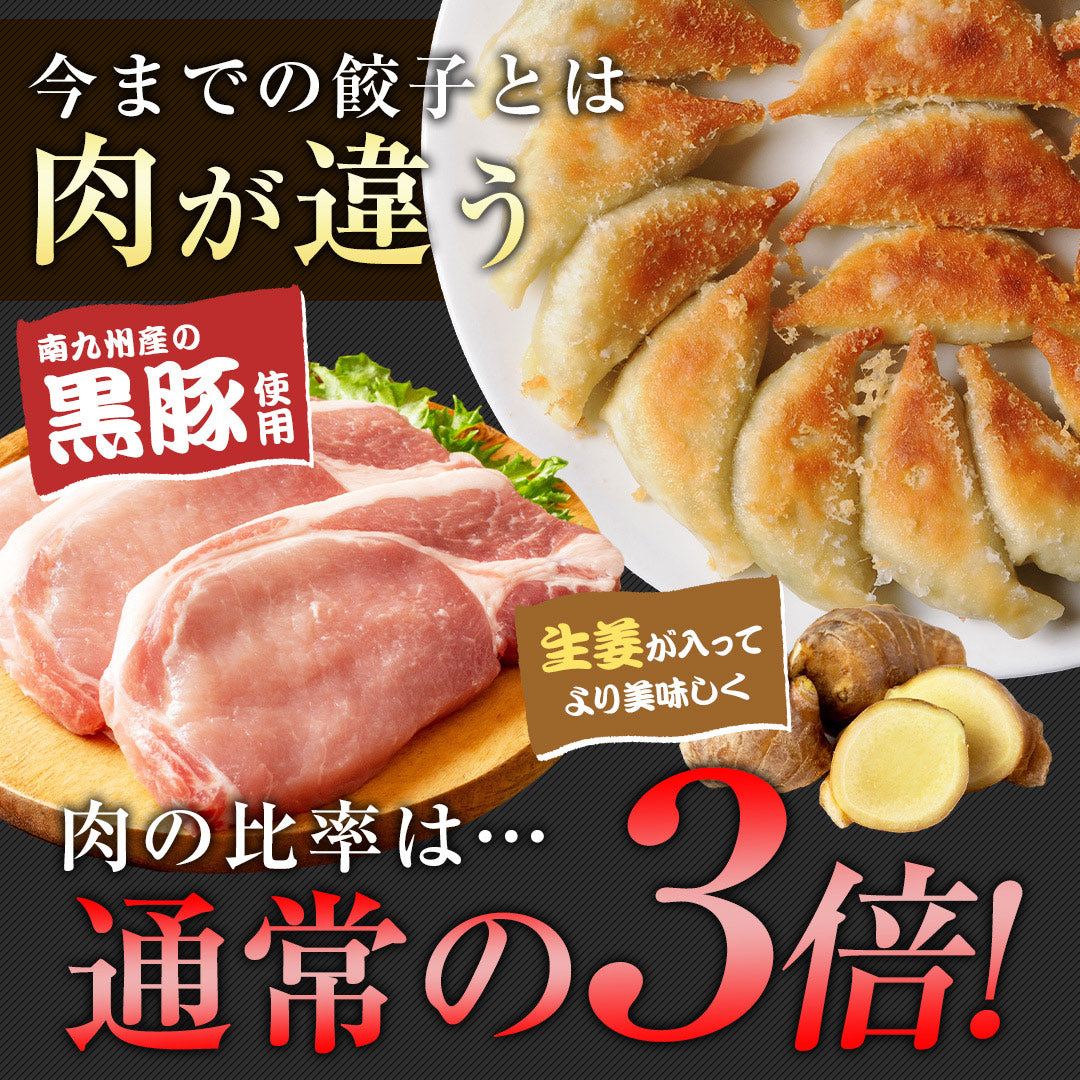 くろぶた餃子50個【送料無料】