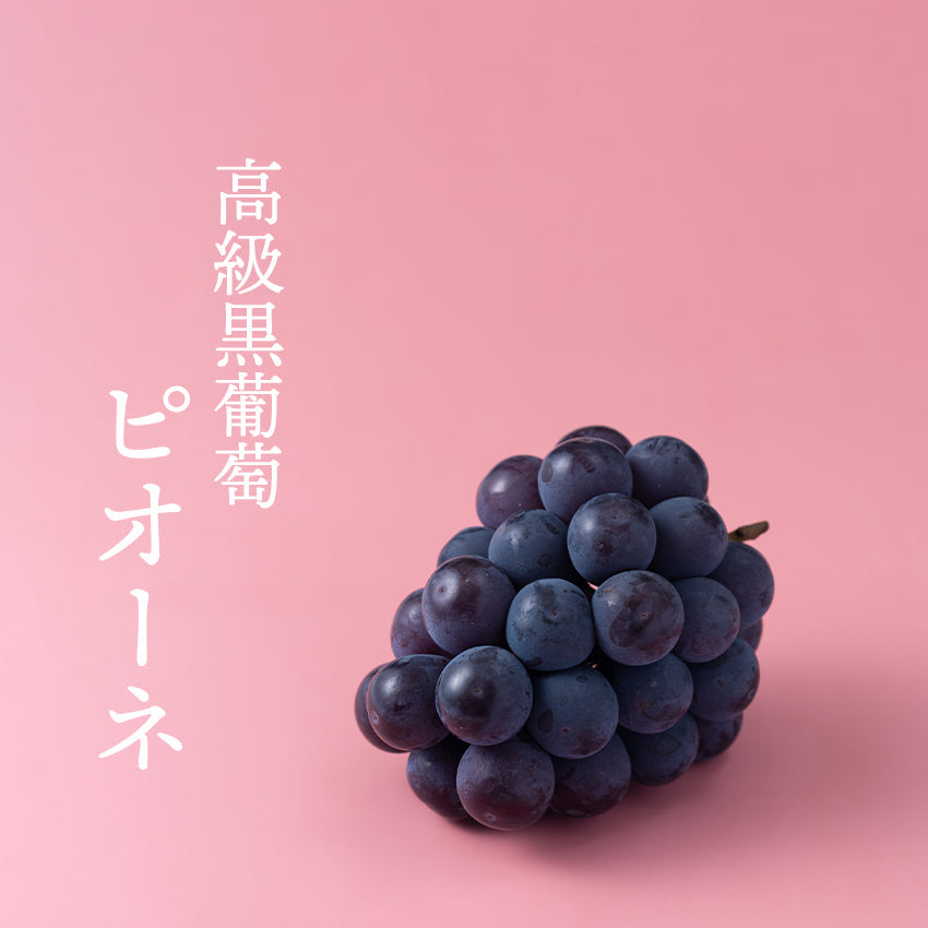 【予約販売】種なし葡萄3種セット