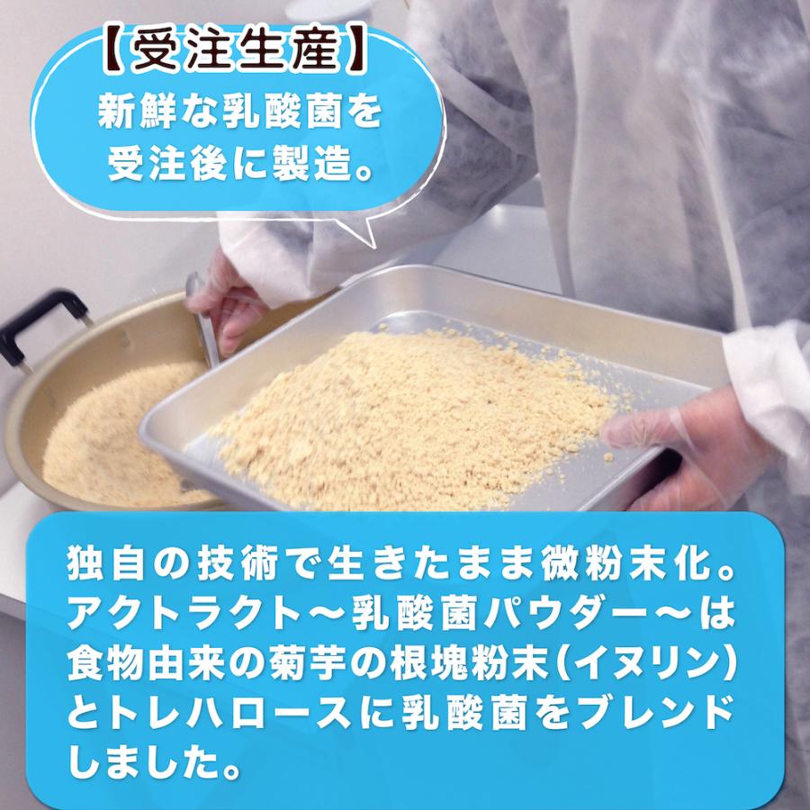 乳酸菌 パウダー 50g 活性乳酸菌 腸活 ビフィズス菌 サプリメント イヌリン トレハロース