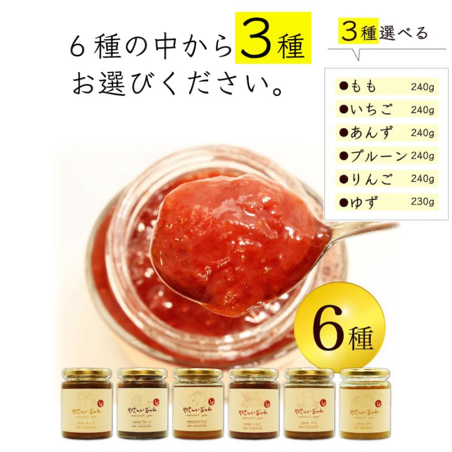やさしいジャム 6種 選べる 3本セット 国産 瓶 フルーツ 低カロリー 苺 桃 杏 柚子 林檎 プルーン 離乳食 無添加 子供 1歳 低糖質 砂糖不使用 添加物不使用