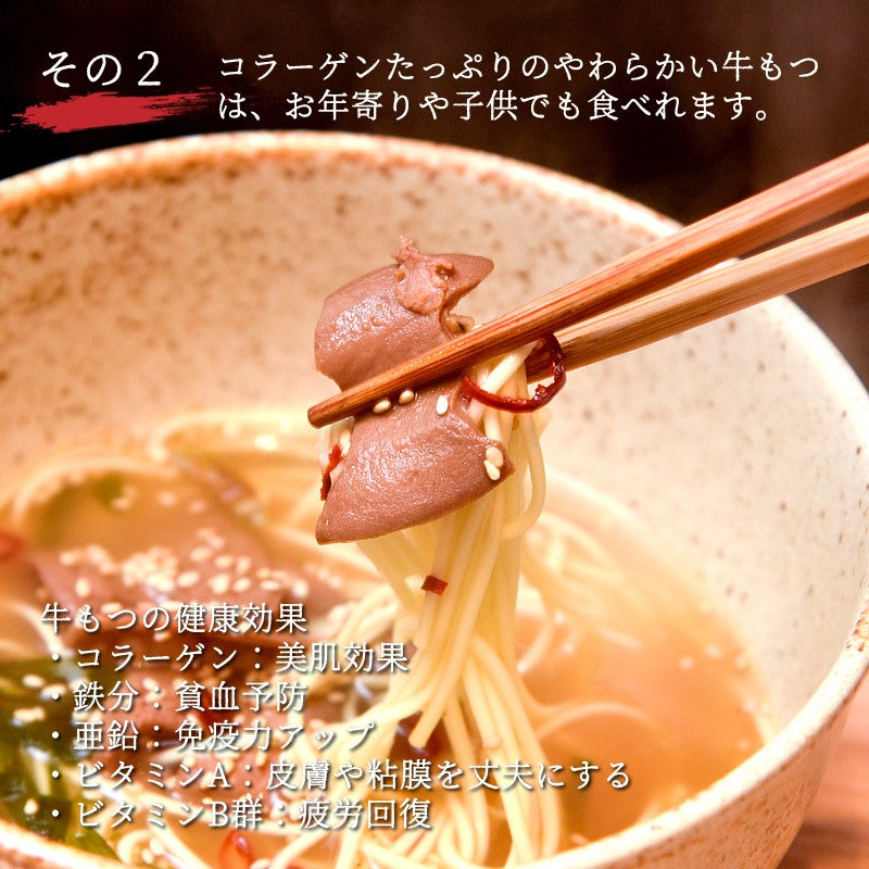 【新聞企画おすすめの逸品定期便】牛モツ入り古賀ラーメン（替え玉付）3箱 ギフト【福岡県古賀市の名産品】【送料無料】【レトルト】【常温長期保存】