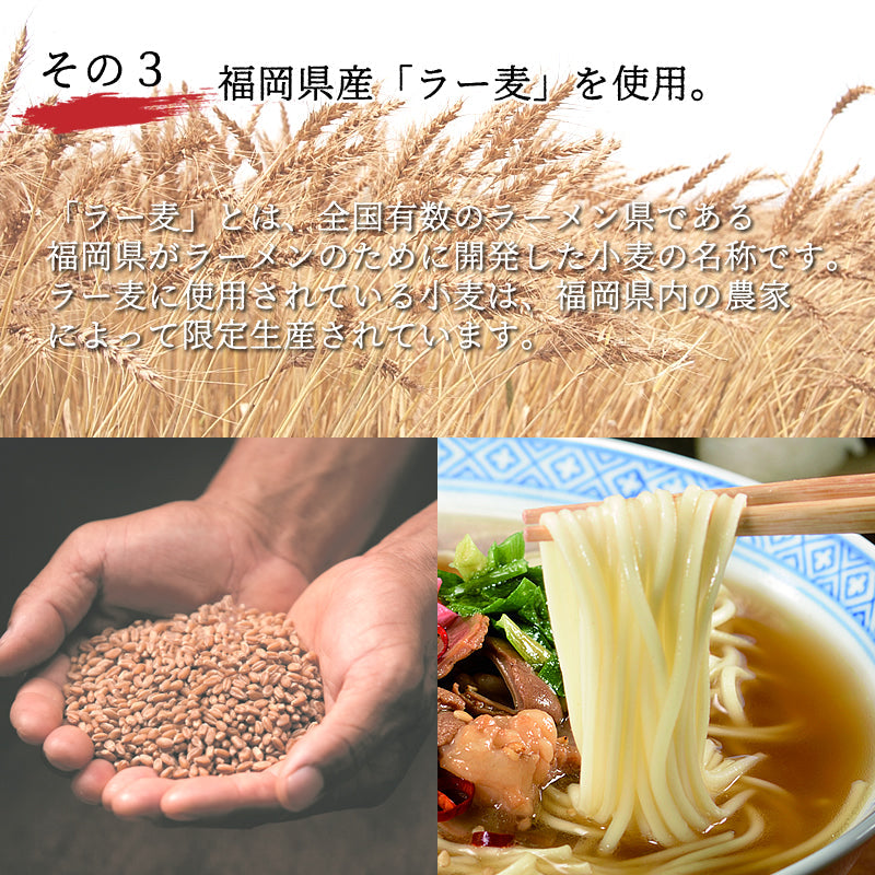 【新聞企画おすすめの逸品定期便】牛モツ入り古賀ラーメン（替え玉付）3箱 ギフト【福岡県古賀市の名産品】【送料無料】【レトルト】【常温長期保存】