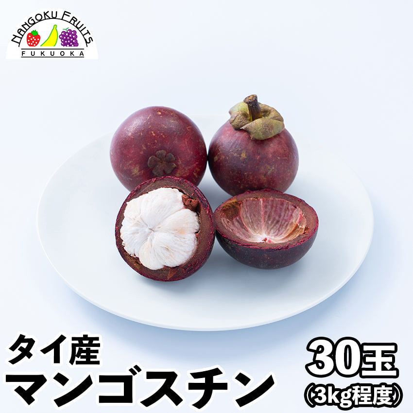 【予約販売】タイ産マンゴスチン