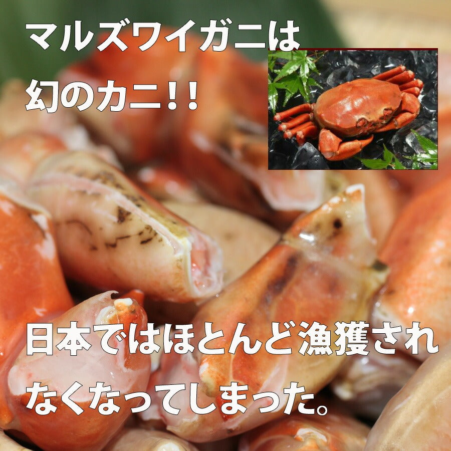 【12月7日ポイント7倍】　まるずわいがに爪下ハーフカット800g　(総重量１ｋｇ）