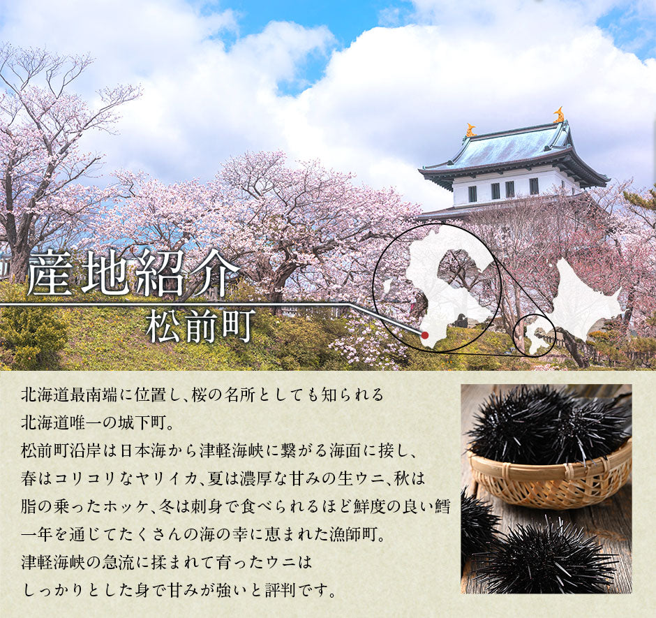 【7～8月限定販売】お中元 北海道 松前産 生キタムラサキウニ 100g【送料無料】【島の人】お取り寄せグルメ 雲丹 生うに 塩水うに グルメ ギフト 食品 寿司 贈り物 お土産 海鮮