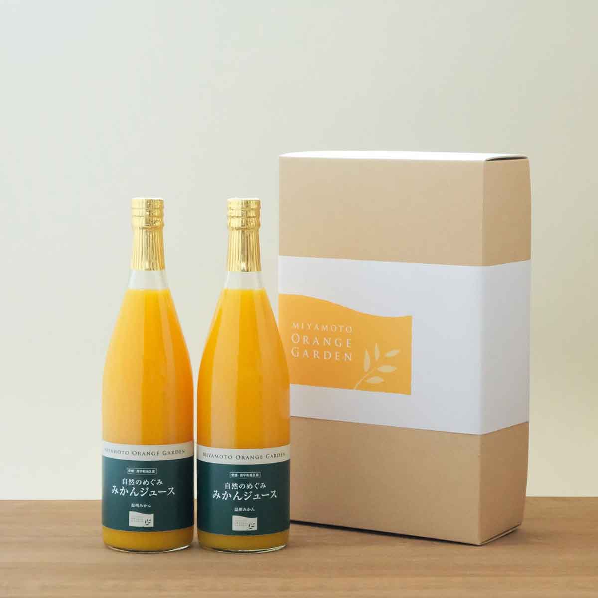 自然のめぐみ　みかんジュース　780ml×2本