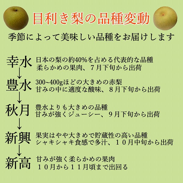 九州産　旬の和梨