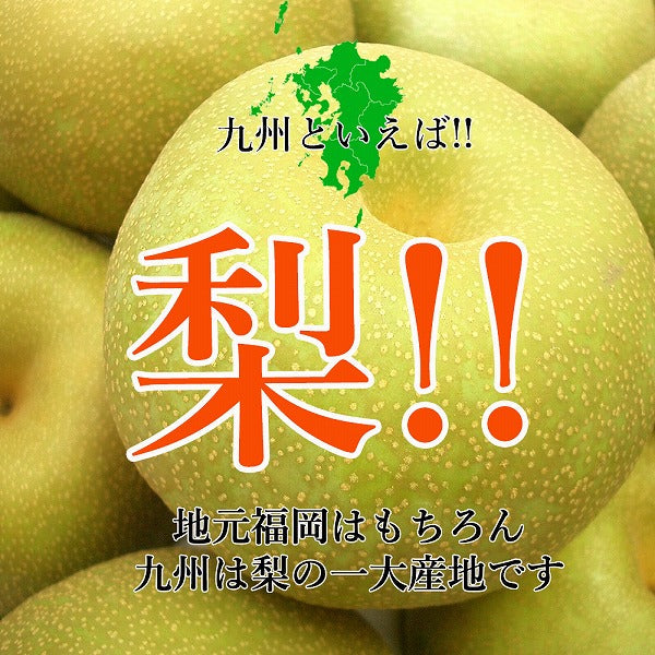 九州産　旬の和梨