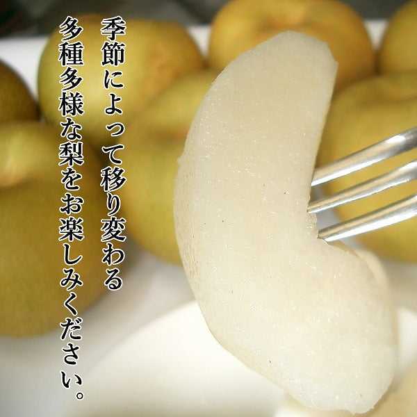 九州産　旬の和梨
