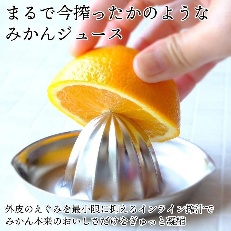 自然のめぐみ　みかんジュース　780ml×2本