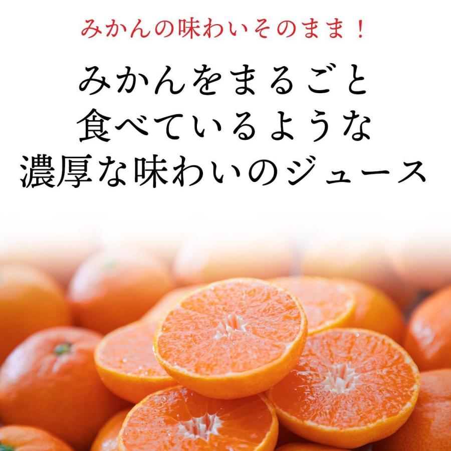 自然のめぐみ　みかんジュース　780ml×2本