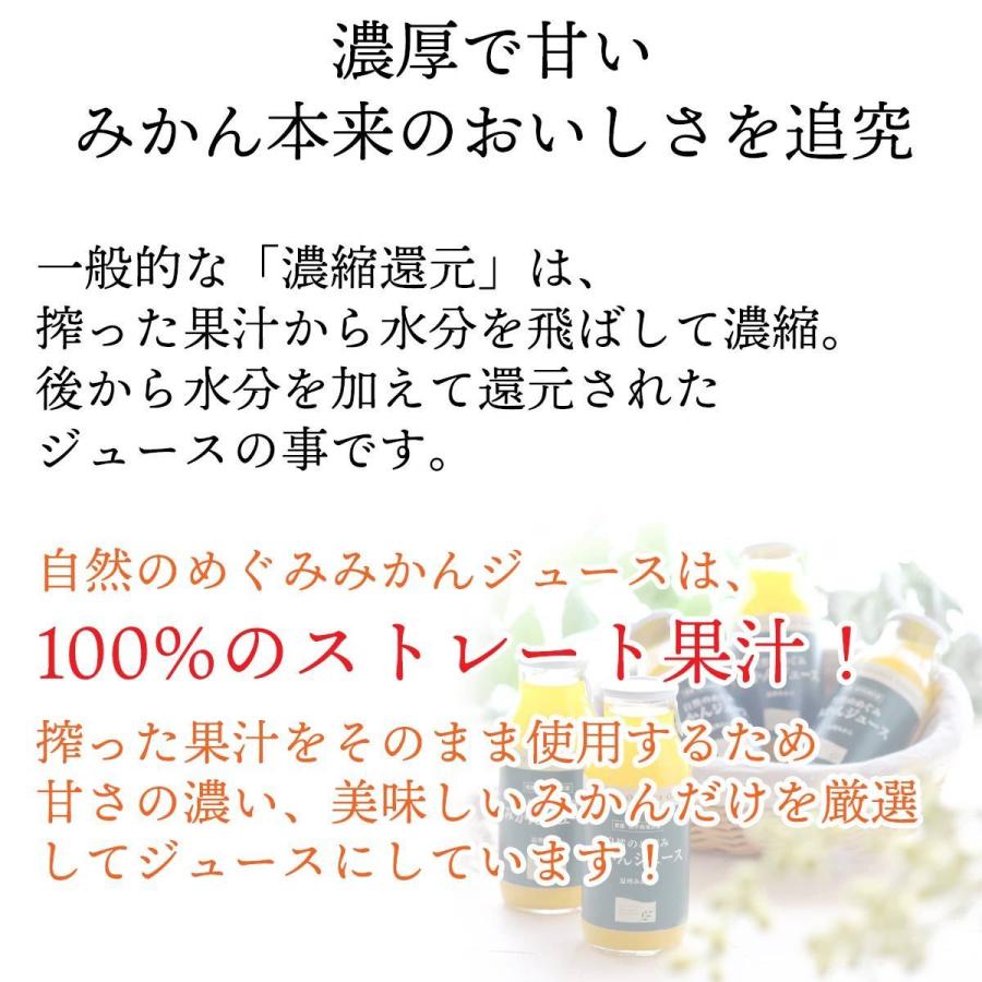 自然のめぐみ　みかんジュース　780ml×2本