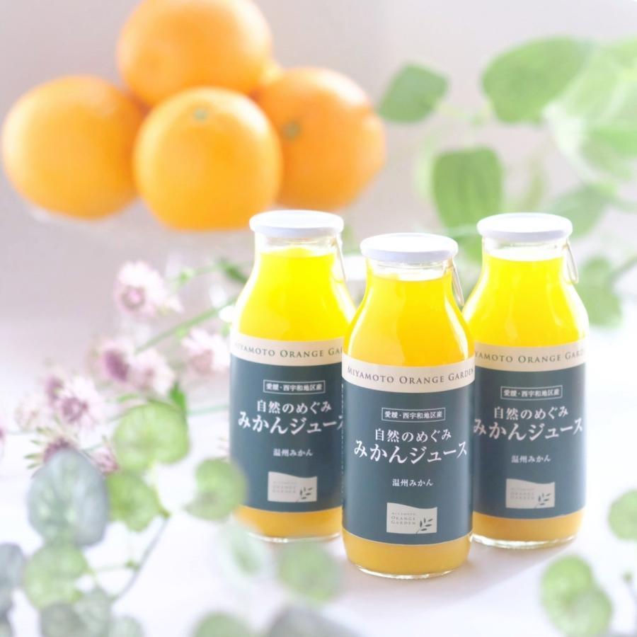 自然のめぐみ みかんジュース 180ml