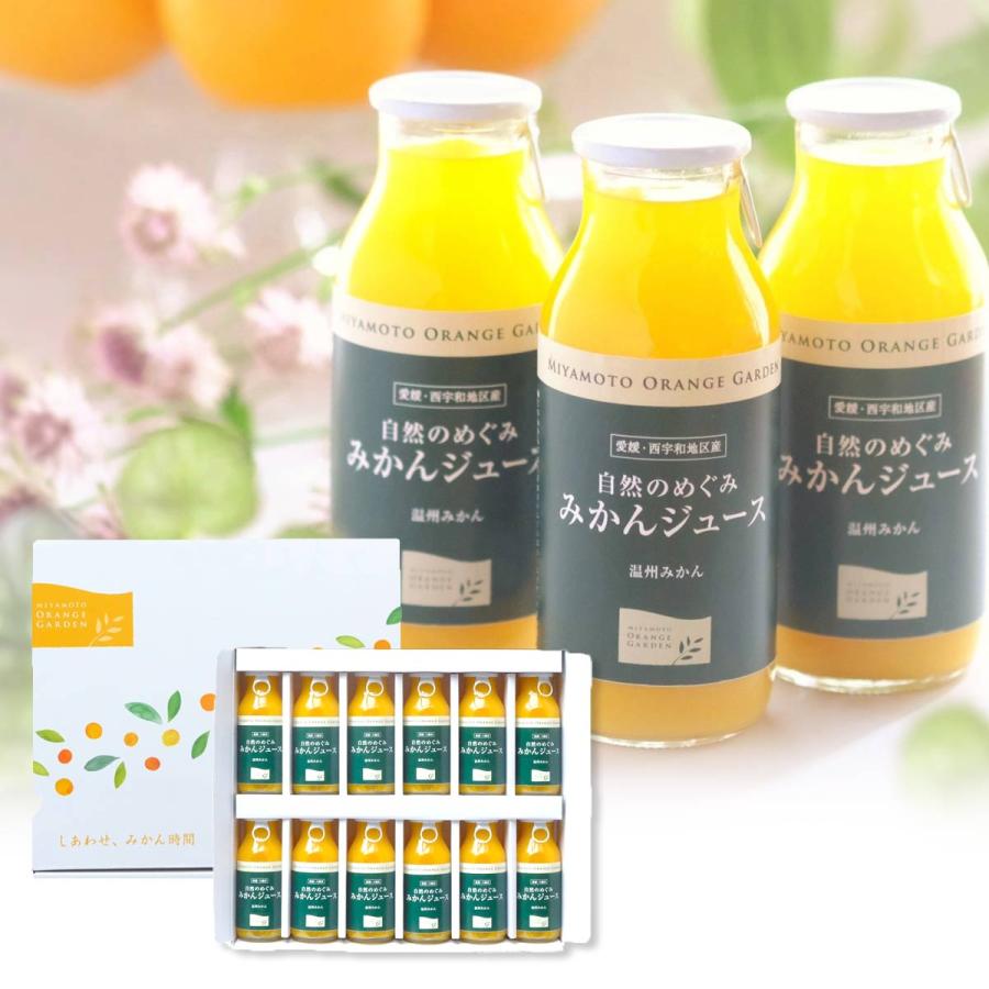 自然のめぐみ みかんジュース 贈答箱入り ギフトセット 12本入り