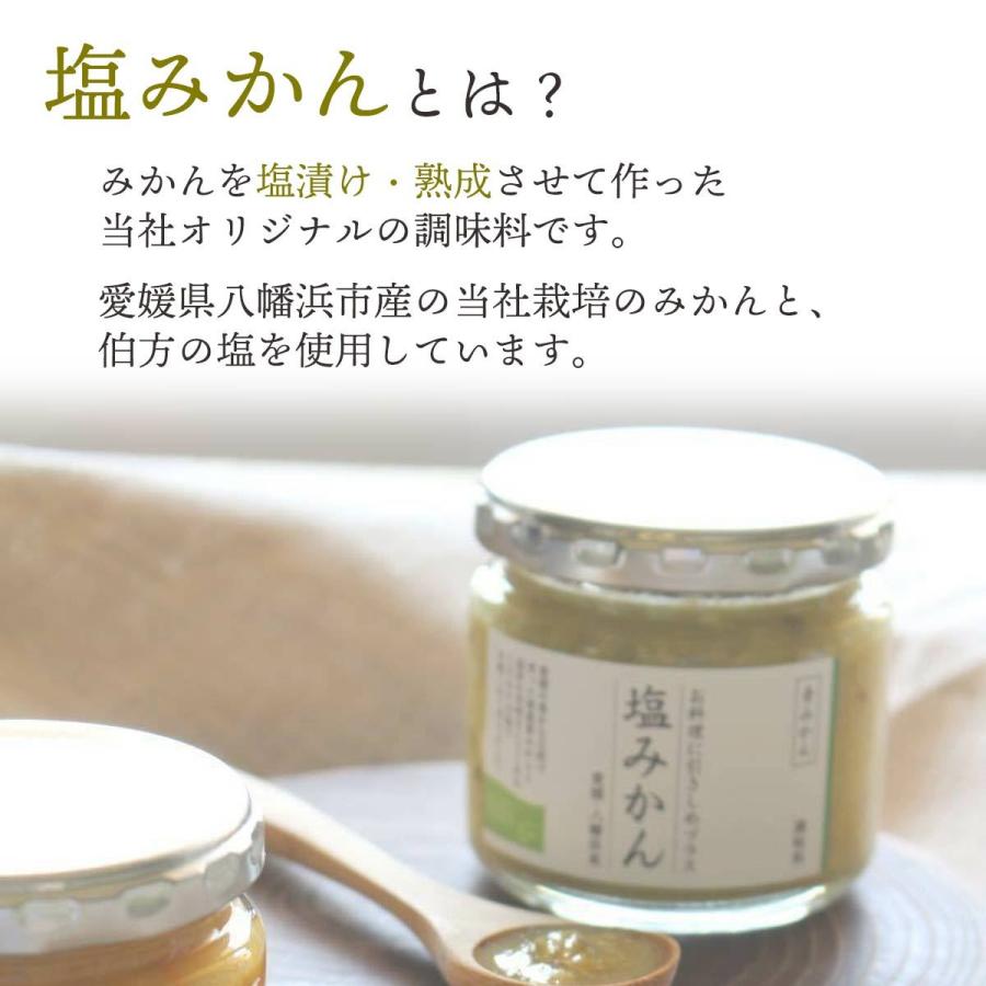 塩みかん ギフトセット