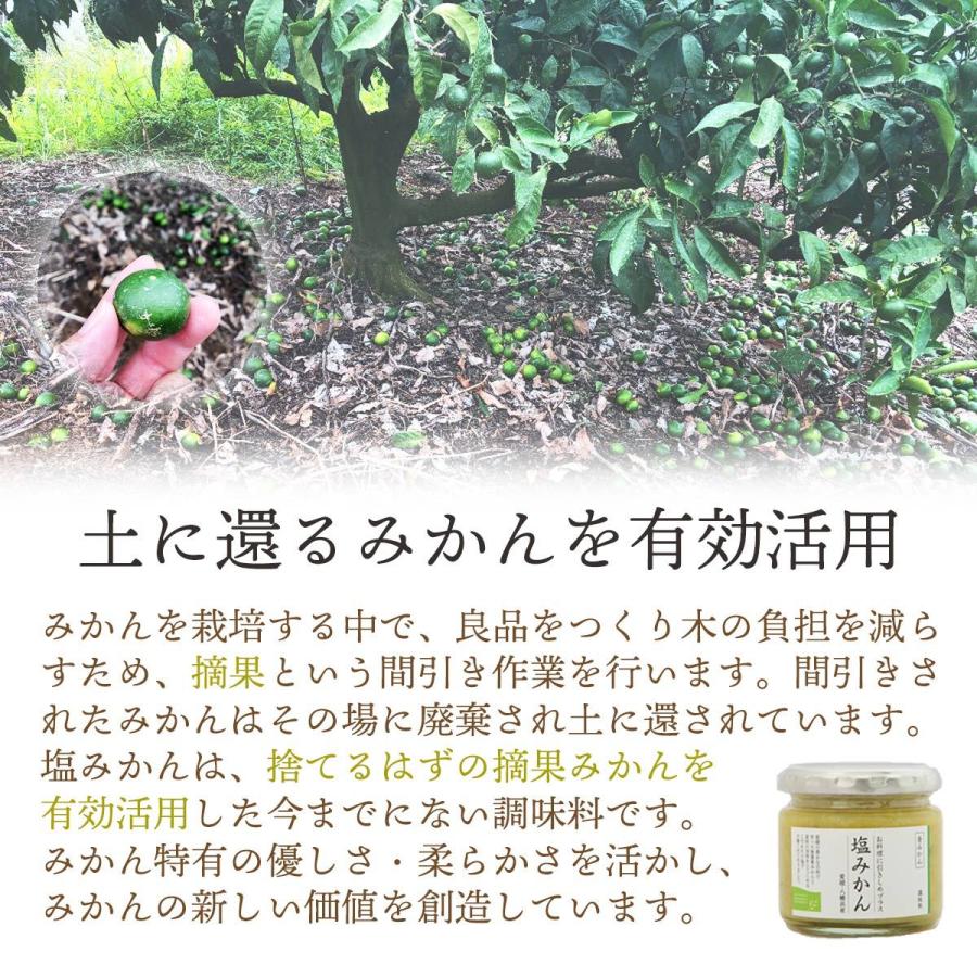 塩みかん ギフトセット