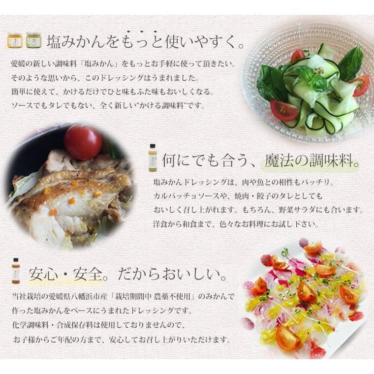 塩みかん ギフトセット
