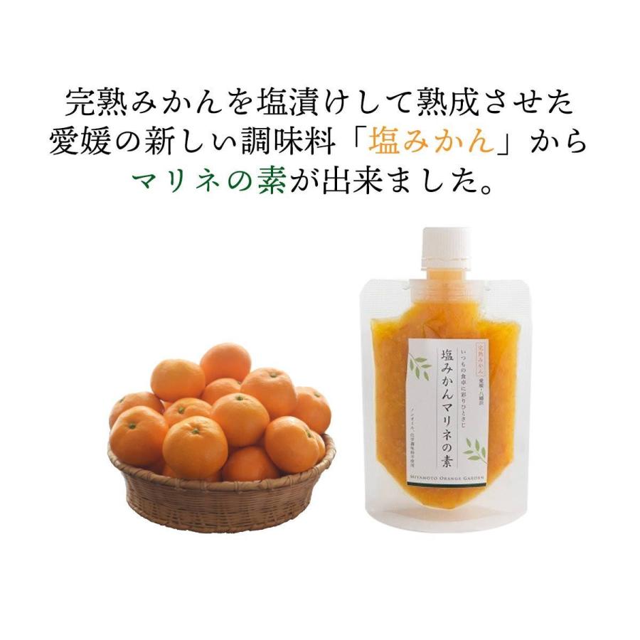 塩みかん ギフトセット